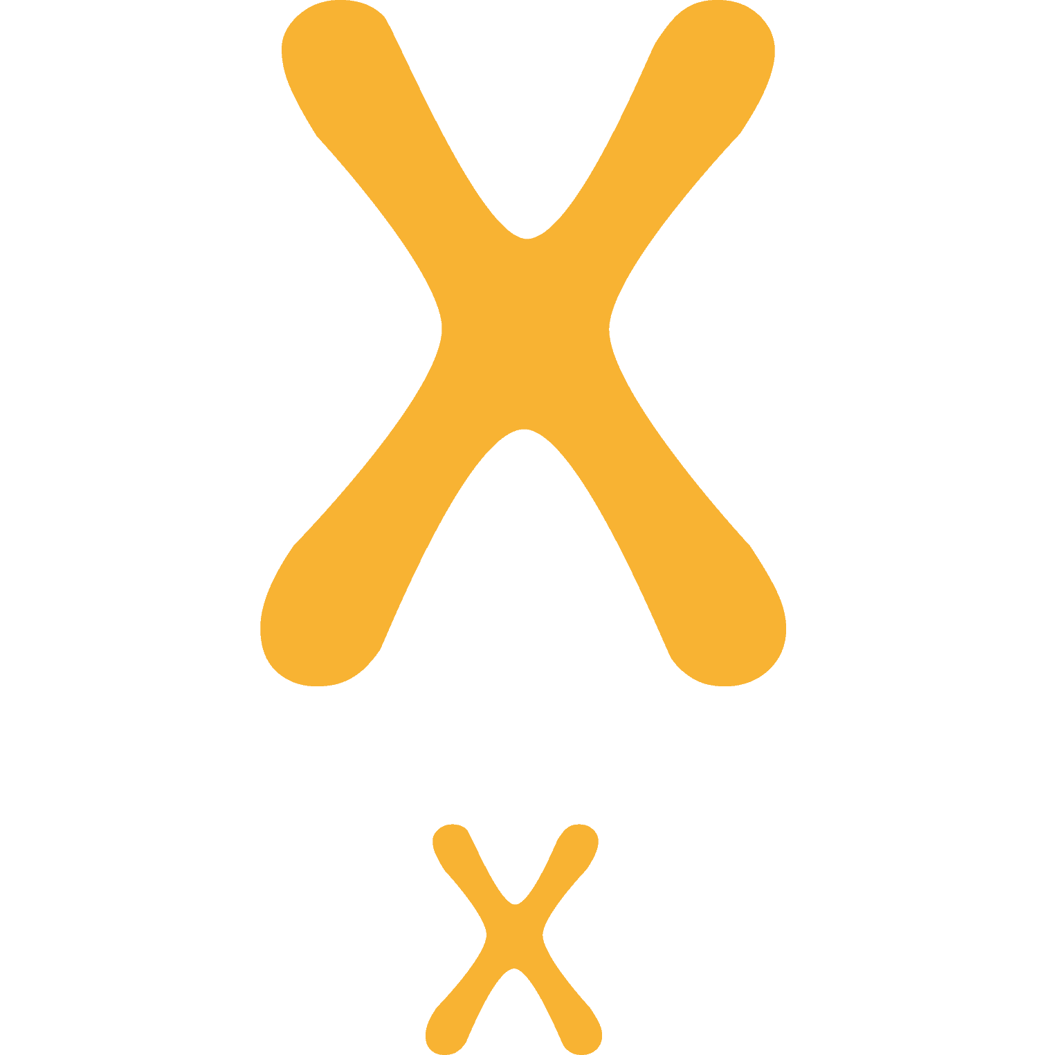 Associazione Culturale NEXUS Logo